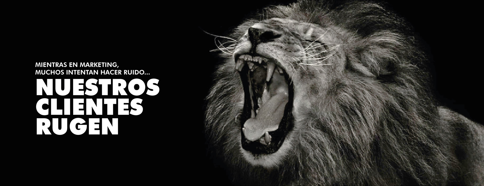 header-leon-final-2022